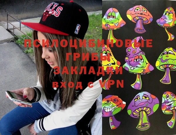 прущая мука Арсеньев