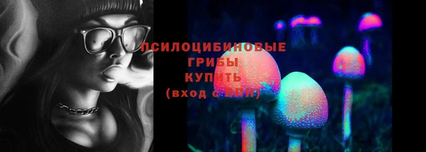 прущая мука Арсеньев