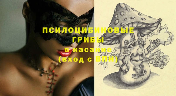 молекула духа Армянск