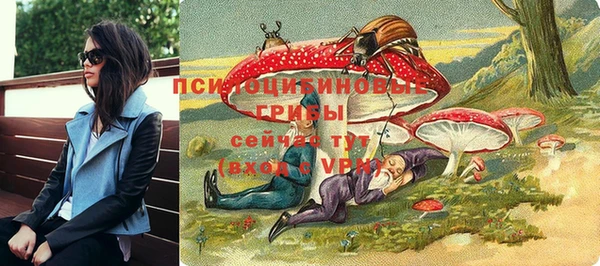 прущая мука Арсеньев
