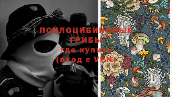 молекула духа Армянск