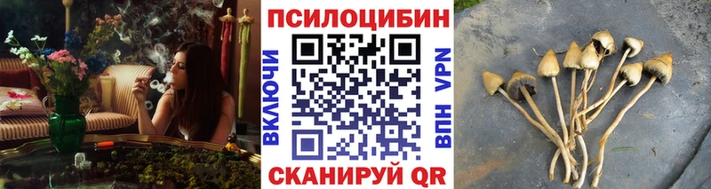 Псилоцибиновые грибы ЛСД  Купить где  Рыбное 